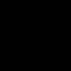 Meet your Posher, Priscilla